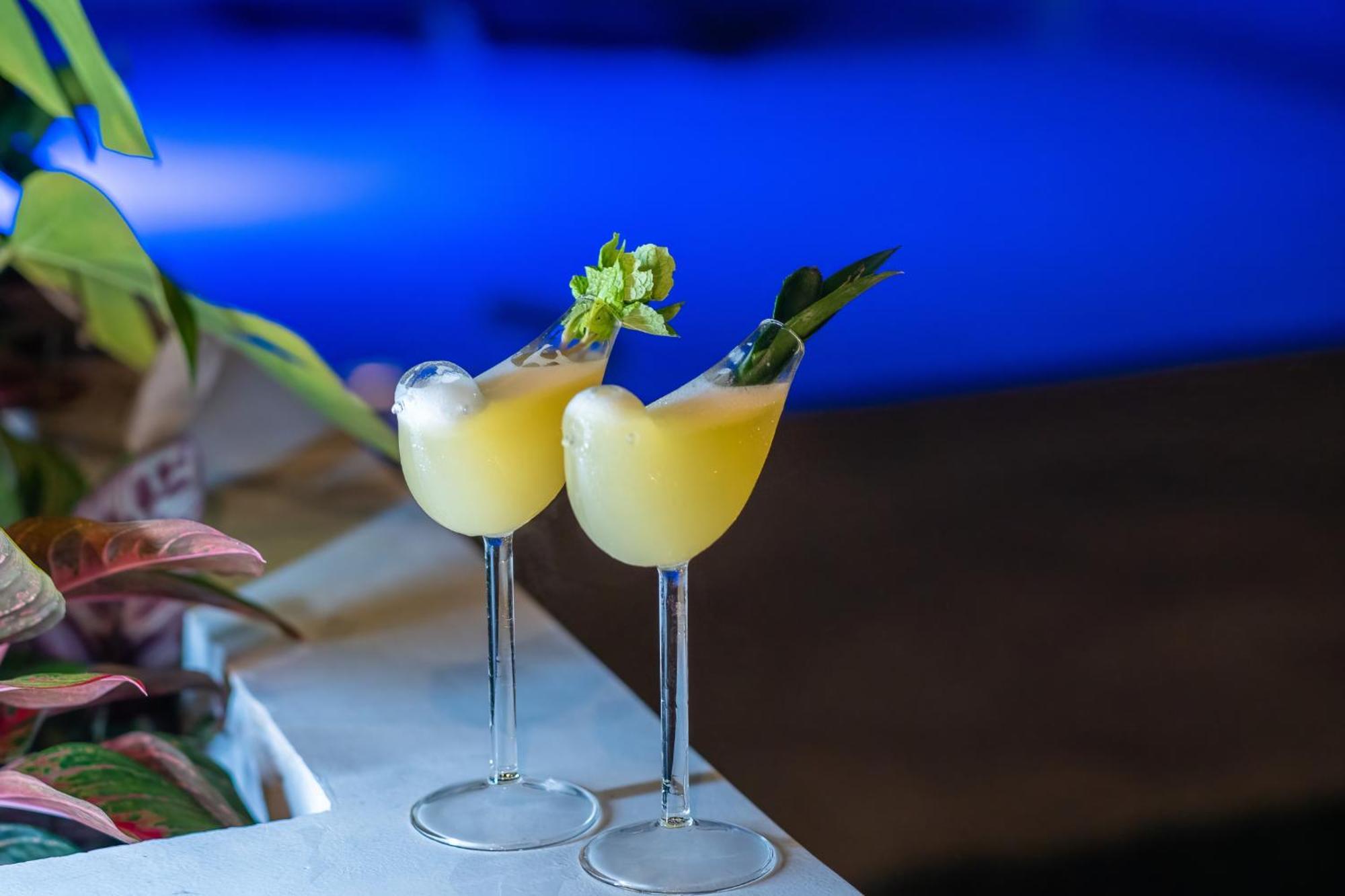 Bird Of Paradise Đảo Đảo Panglao Ngoại thất bức ảnh